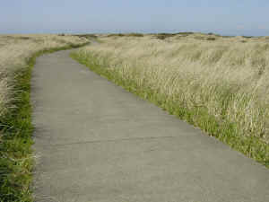 beach walk path sidewalk stretching curving away towards the skyline waving brown grass on both sides wallpaper 1280 x 960 pixels